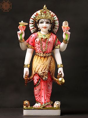 The Beauteous Devi Parvati, Tiger-skin Over Her Saree
