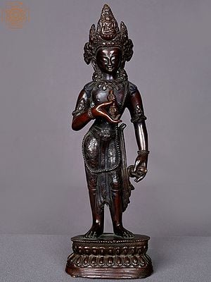 10" Standing Vajrasattva From Nepal