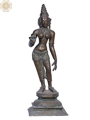 18" Goddess Sivagami (Bhoga Shakti) | Madhuchista Vidhana (Lost-Wax) | Panchaloha Bronze from Swamimalai
