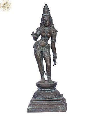 15" Devi Parvati (Devi Uma) | Madhuchista Vidhana (Lost-Wax) | Panchaloha Bronze from Swamimalai
