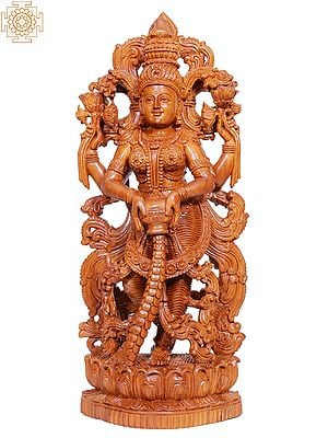 20" Wooden Goddess Dhan Lakshmi