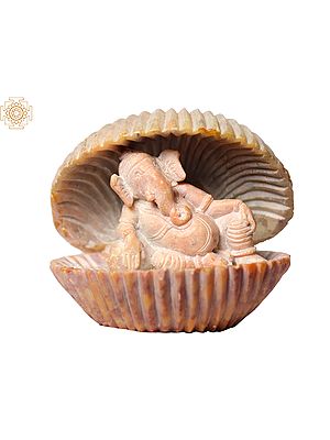 3" Small Hindu God Ganesha Inside Shell