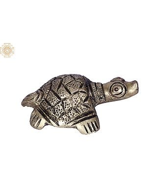 2" Small Turtle Small | Brass