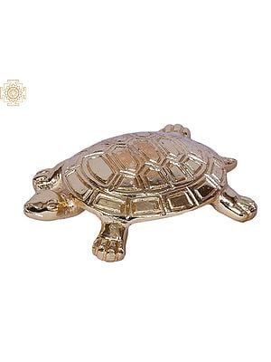 4" Small Turtle | Brass | Gold Plated