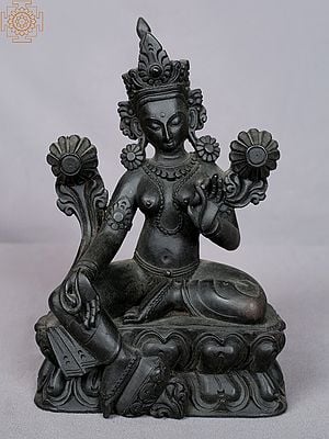 8" Black Color Goddess Green Tara from Nepal