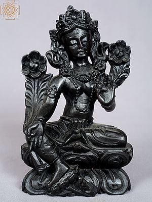 8" Black Color Buddhist Goddess Green Tara from Nepal