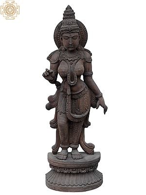 Devi: Divine Feminine Wood Statue