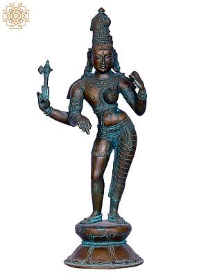 12'' Hindu Deity Ardhanarishvara Standing | Bronze