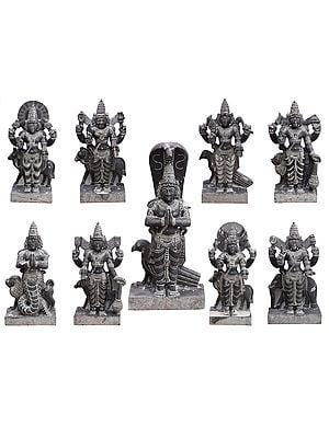Hindu Deities Navagraha (Set of 9) | Granite Stone Statue