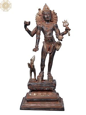 14" Bhairava Shiva in Brass