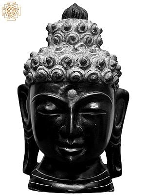 9'' Meditating Tibetan Buddha Head | Kadappa Stone