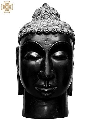 13'' Meditating Peaceful Tibetan Buddha Head | Kadappa Stone