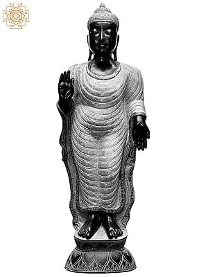 24'' Standing Tibetan Buddha | Kadappa Stone