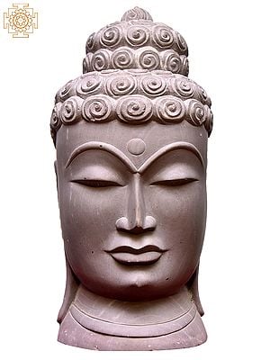 12" Gautama Buddha Head