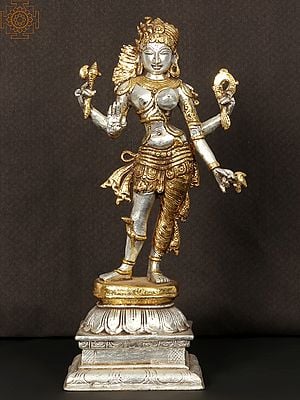 14'' Coloured Ardhanarishvara Standing | Brass Statue