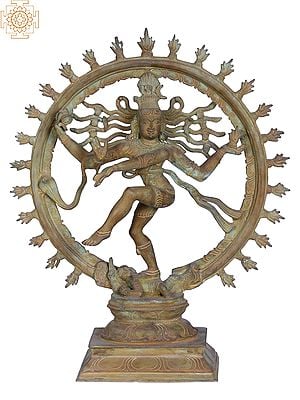 13" Bronze Lord Shiva as Nataraja