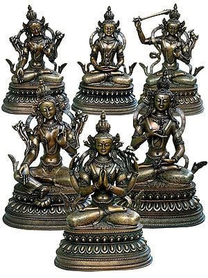 Set of Six Taras from Nepal | Museum Quality