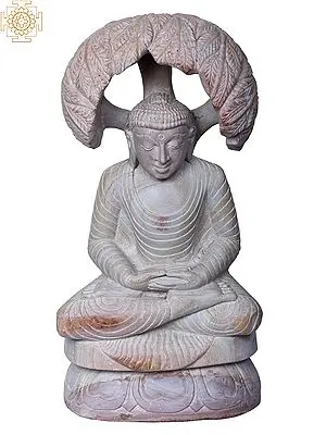 Enlightened Buddha Under Bodhi Tree Sculpture