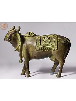 11" Kamadhenu Cow in Brass