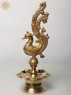 12" Five Wicks Peacock Lamp in Brass