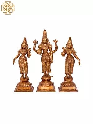 16'' Lord Perumal with Sridevi and Bhudevi | Madhuchista Vidhana (Lost-Wax) | Panchaloha Bronze from Swamimalai