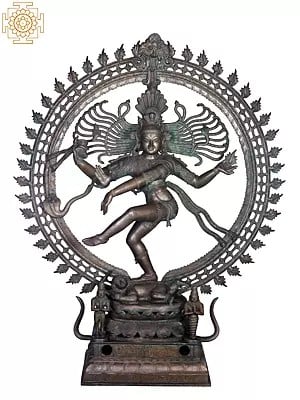 54'' Nataraja | Madhuchista Vidhana (Lost-Wax) | Panchaloha Bronze from Swamimalai