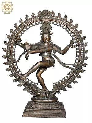 60'' Large Nataraja | Madhuchista Vidhana (Lost-Wax) | Panchaloha Bronze from Swamimalai