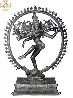 63'' Large Nataraja | Madhuchista Vidhana (Lost-Wax) | Panchaloha Bronze from Swamimalai