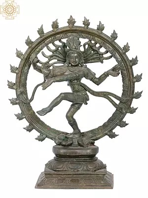 13'' Nataraja | Madhuchista Vidhana (Lost-Wax) | Panchaloha Bronze from Swamimalai