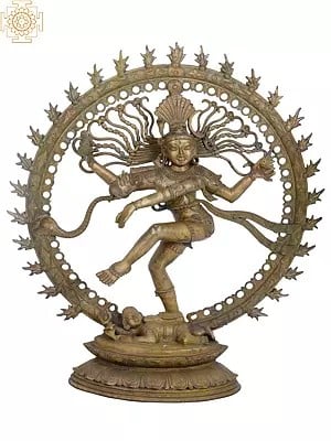 33" Large Nataraja | Madhuchista Vidhana (Lost-Wax) | Panchaloha Bronze from Swamimalai