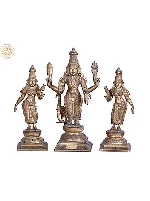 19'' Lord Subramanya with His Consorts Devasena and Valli | Madhuchista Vidhana (Lost-Wax) | Panchaloha Bronze from Swamimalai