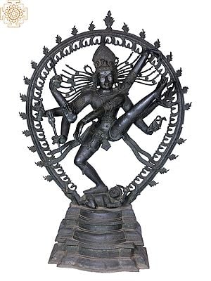 56'' Nataraja Panchaloha Bronze Statue from Swamimalai | Madhuchista Vidhana (Lost-Wax)