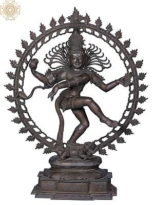 42'' Large Dancing Lord Shiva (Nataraja) Statue | Madhuchista Vidhana (Lost-Wax) | Panchaloha Bronze from Swamimalai