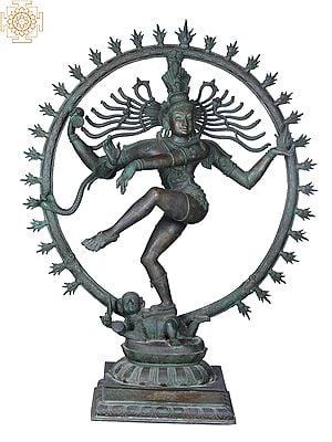 48'' Large Dancing Shiva (Nataraja) Sculpture | Madhuchista Vidhana (Lost-Wax) | Panchaloha Bronze from Swamimalai