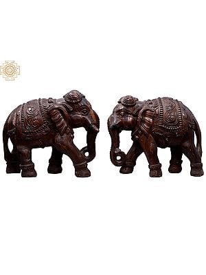 16" Wooden Pair of Elephant