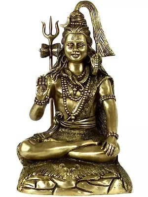 13" Brass Blessing Shiva Seated on Tiger Skin