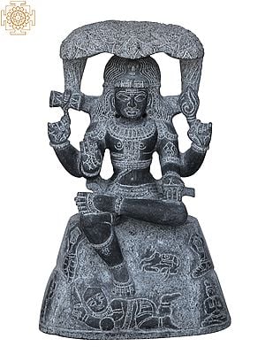 17" Dakshinamurthy Shiva