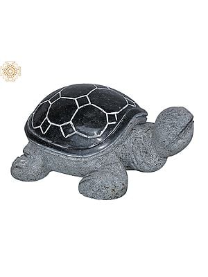 16" Tortoise with Black Back