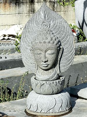 39" Large Lord Buddha Head