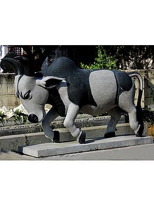 80" Large Charging Bull | Shipped by Sea Overseas