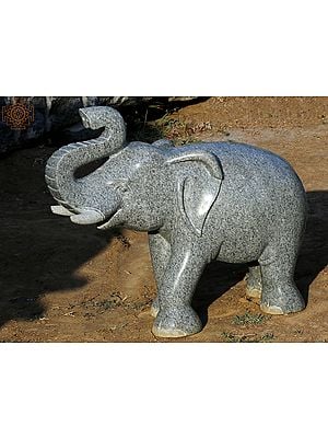 25" Elephant Hard Granite Stone Statue