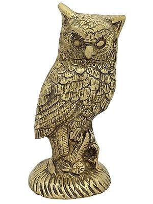 Goddess Lakshmi's Owl Pechaka Brass Statue