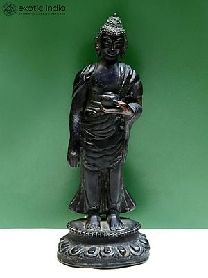 6.8" Standing Buddha from Nepal