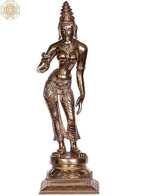 11" Bronze Standing Devi Parvati (Goddess Uma)
