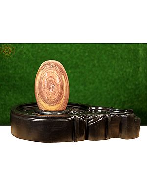 Turmeric Shade Linga | Narmada River Shiva Lingam