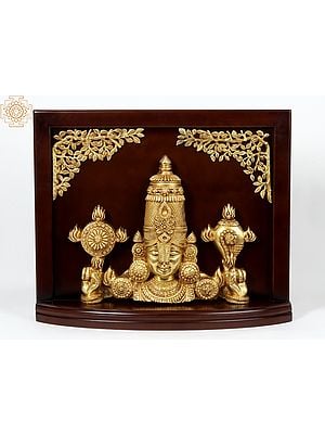 Buy Elegant and Refined Brass Sculptures of Lord Vishnu Only at Exotic India