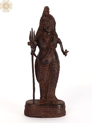 11" Tribal Ardhanarishvara Brass Statue