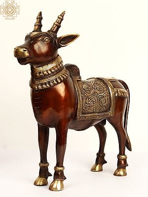 16" Decorative Nandi Statue in Brass
