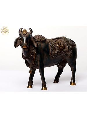 11" Kamdhenu Cow | Brass Satue