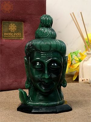 Natural Green Aventurine God Shiva Head | Black Agate Base With Gift Box